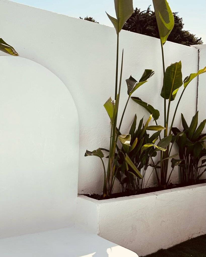 Jardin balinais — Atelier Löwe — photo 2